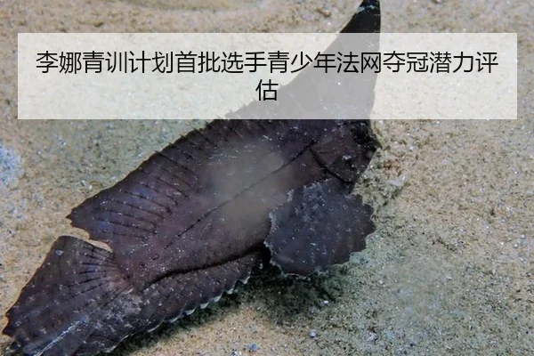 li-na-qing-xun-ji-hua-shou-pi-xuan-shou-qing-shao-nian-fa-wang-duo-guan-qian-li-ping-gu-2-103.jpg