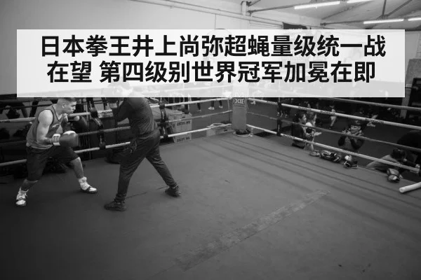 boxer training gym