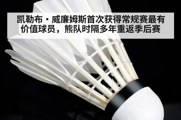 凯勒布·威廉姆斯首次获得常规赛最有价值球员,熊队时隔多年重返季后赛