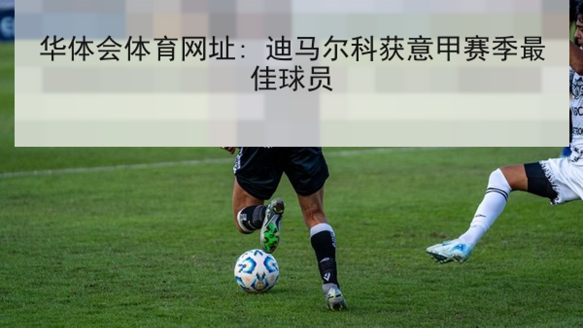 华体会体育网址: 迪马尔科获意甲赛季最佳球员